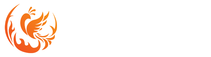 上海焱凤信息技术有限公司